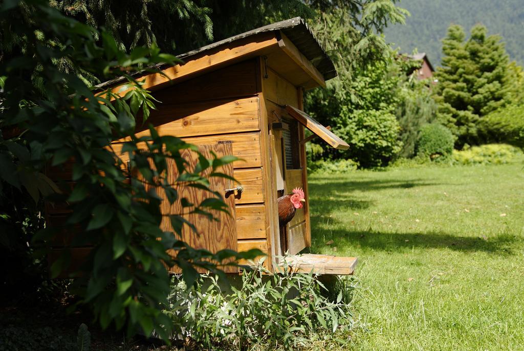 Beausite Apartments Interlaken Exterior foto